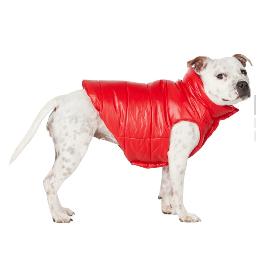 Moncler Genius, dog coat.